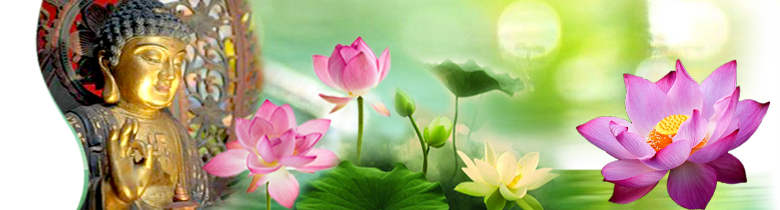 Vãng Sanh Tịnh Độ Luận