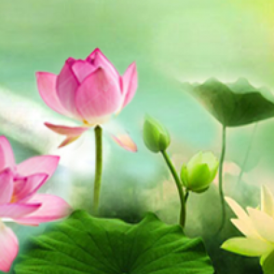 Vãng Sanh Tịnh Độ Luận